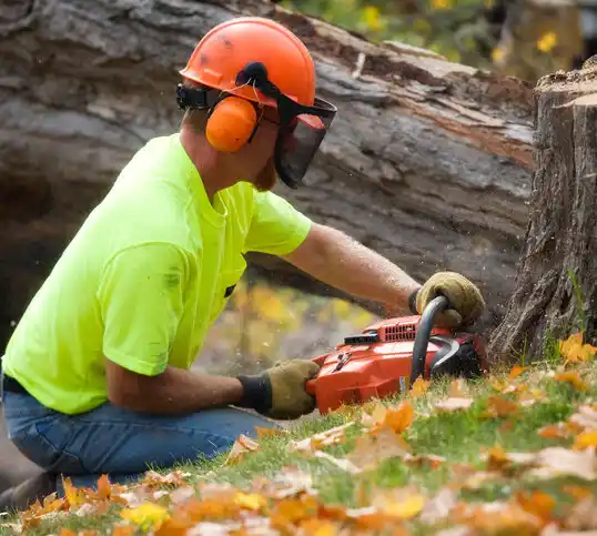 tree services Wiggins
